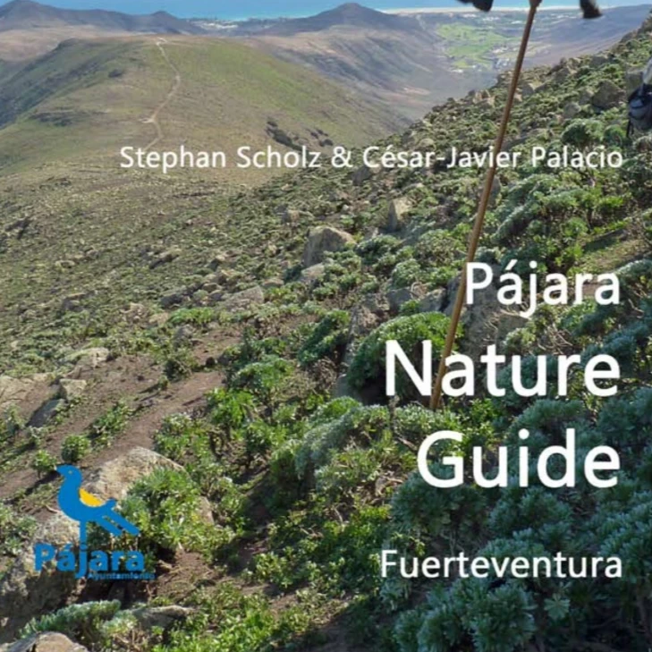Pájara nature guide